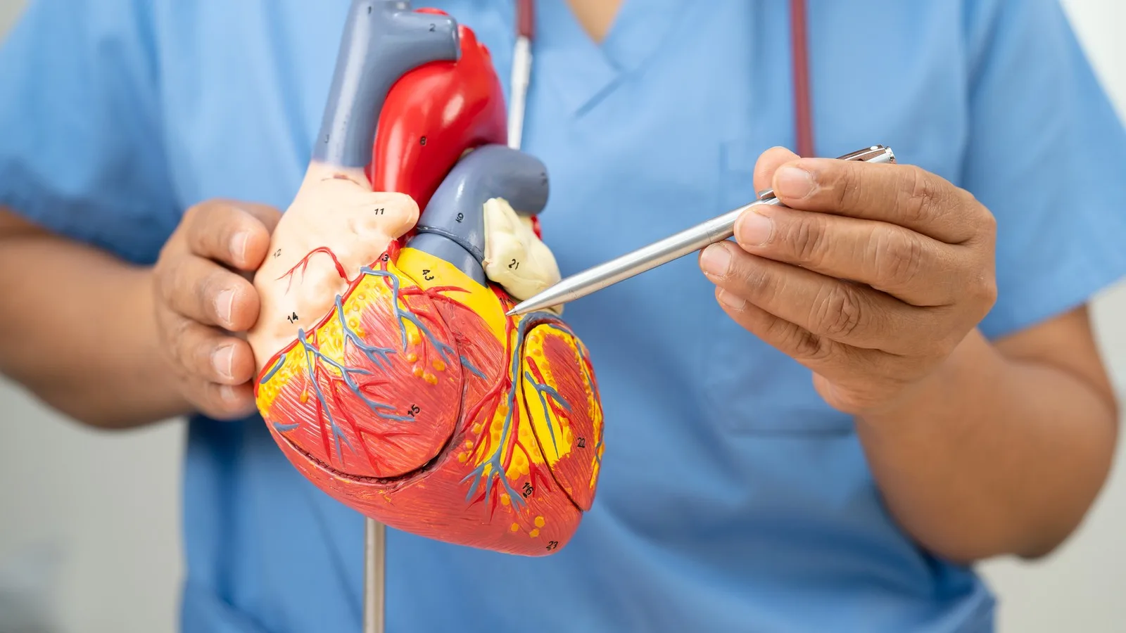 ¿Qué médico trata enfermedad coronaria?